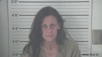 Amy Sue Williams Mugshot