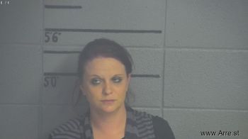 Andrea Lynn Anderson Mugshot