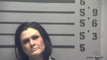 Andrea Marie Breedlove Mugshot