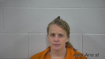 Andrea N Johnson Mugshot