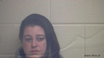 Andrea Sue Mcelroy Mugshot