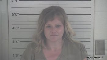 Andrea Lynn Schnebelt Mugshot