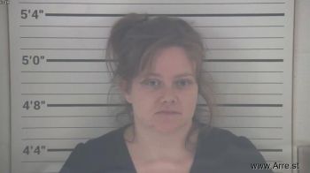 Andrea Lynn Schnebelt Mugshot