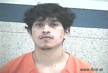 Andres Nmn Felipe-domingo Mugshot