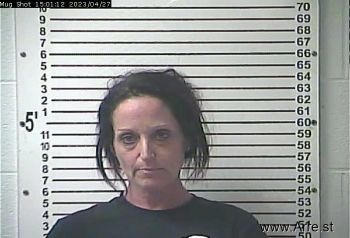 Angela Michelle Skaggs Mugshot