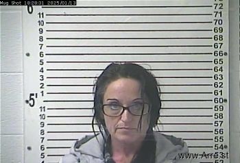 Angela Michelle Skaggs Mugshot