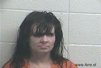 Anna Michelle Howard Mugshot