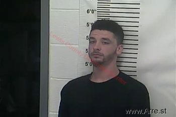 Anthony S Palmer Mugshot