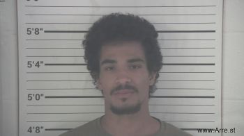 Anthony James Shelton Mugshot