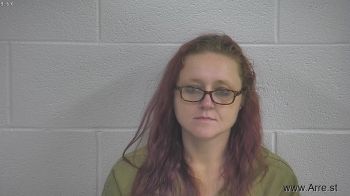 April L Childers Mugshot