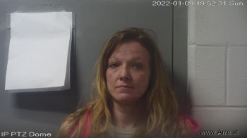 April Nicole Lightner Mugshot