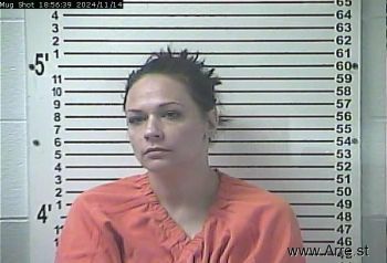 April Louise Simondiski Mugshot