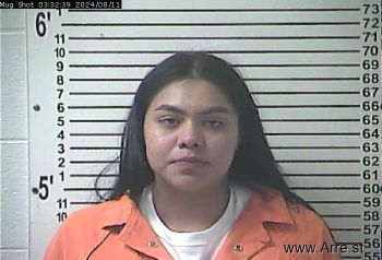 Areli Guadalupe Gonzales Vazquez Mugshot