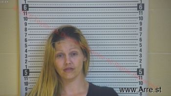 Ashley Nicole Adkins Mugshot