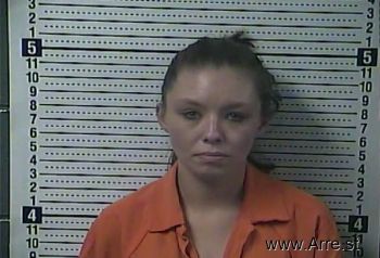 Ashley Nicole Akers-reed Mugshot