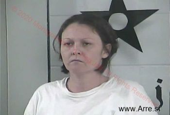 Ashley Lynn Brantley - Mercer Mugshot