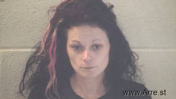 Ashley Nichole Collett Mugshot