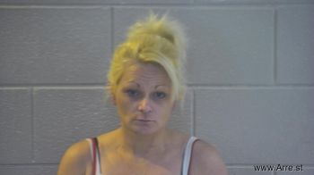 Ashley Nichole Collett Mugshot