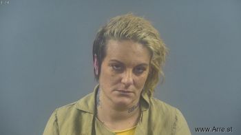 Ashley Marie Collins Mugshot