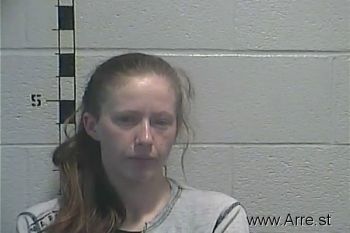 Ashley Michelle David Mugshot