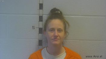 Ashley M David Mugshot