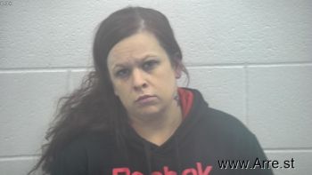 Ashley Rose Elliott Mugshot