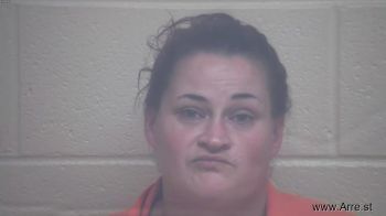 Ashley Lynne Ellis Mugshot