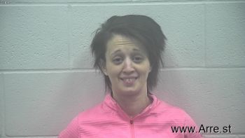 Ashley Michelle Ellis Mugshot