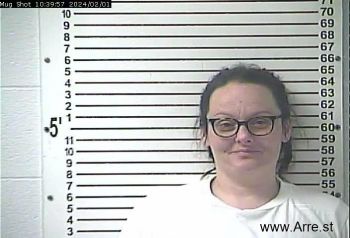 Ashley Lynn Flores Mugshot