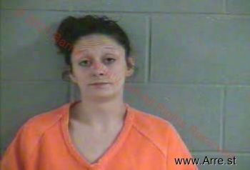 Ashley Dawn Goodman Mugshot