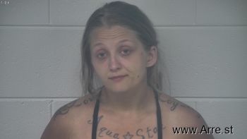 Ashley  Howard Mugshot