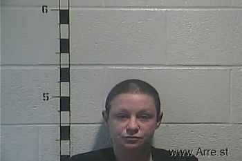 Ashley  Hudson Mugshot