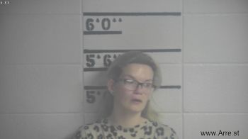 Ashley N Hutchison Mugshot