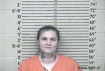 Ashley Ann Kawczynski Mugshot