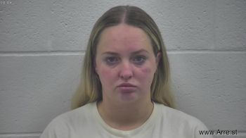 Ashley Michelle Larkin Mugshot