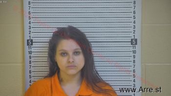 Ashley  Lawson Mugshot