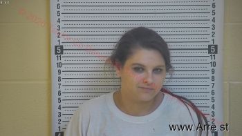 Ashley  Lawson Mugshot