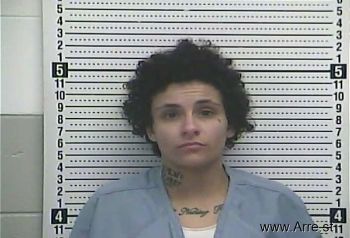 Ashley S Leezer Mugshot