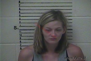 Ashley Brooke Lewis Mugshot