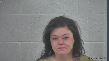 Ashley Ann Lewis Mugshot