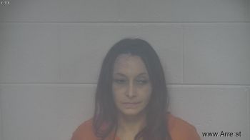 Ashley  Lingenfelter Mugshot