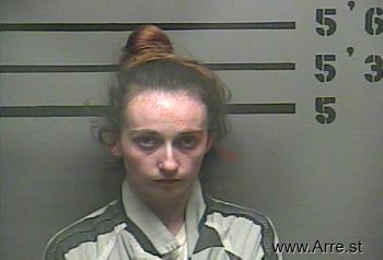 Ashley Nicole Miller Mugshot