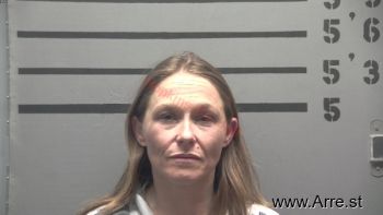 Ashley Brooke Miller Mugshot