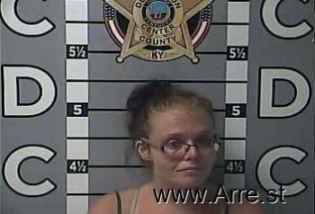 Ashley Marie Patterson Mugshot