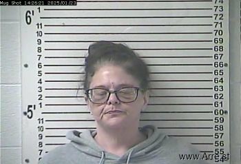 Ashley Nicole Pugh Mugshot