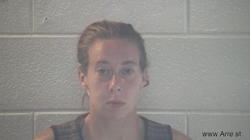 Ashley Lynn Savage Mugshot