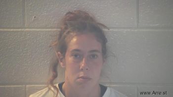 Ashley Lynn Savage Mugshot