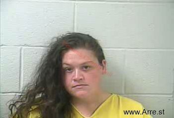 Ashley Ann Schmidt Mugshot