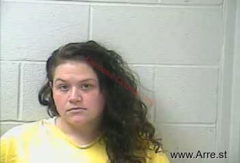 Ashley Ann Schmidt Mugshot