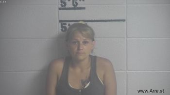 Ashley Marie Shreve Mugshot